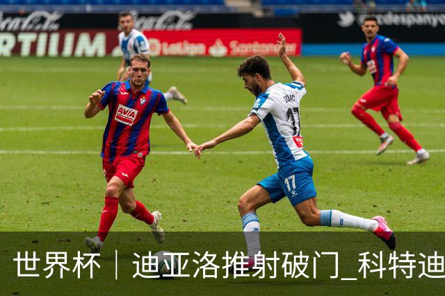 世界杯｜迪亚洛推射破门 科特迪瓦队绝杀厄瓜多尔队